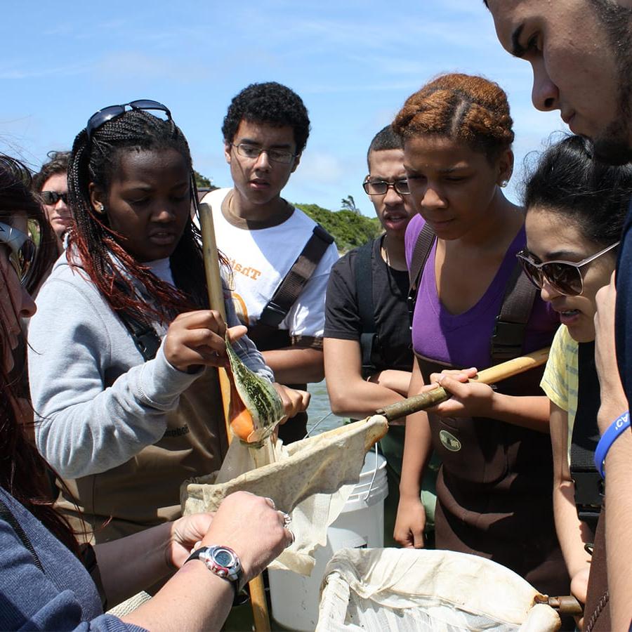 Students gather round a sample in a net on beach in Nantucket.